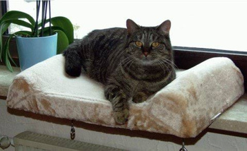 Legowisko, 56 x 36 x 7 cm, beżowe, Kerbl