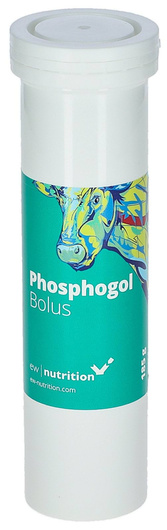 Bolus fosforowy dla krów zagrożonych zaleganiem, Phosphogol, 4 x 185 g, Agrochemica