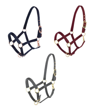 Kantar dla konia Classy, Różne kolory, Różne rozmiary, Covalliero