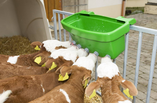 Poidło dla cieląt kompletne, "Multi Feeder", Canagri