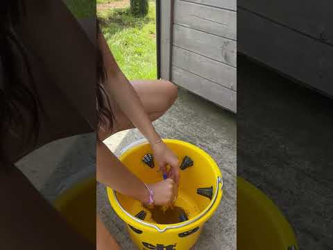 Pułapka na muchy FlyCage6, z atraktantem 750 g, Cit