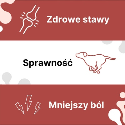 Preparat na wsparcie stawów dla psa i kota - LAB-V Arthrohard 500 ml