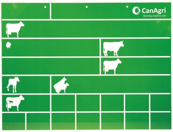 Tablica stanowiskowa, 40 x 30 cm, zielona, Canagri