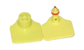 Kolczyk dla bydła i owiec Multiflex L, część męska i żeńska, żółty, Caisley