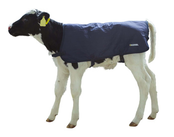 Derka dla cieląt EasyWear, Rozmiary: 70 - 80 cm, granatowa,  Kerbl